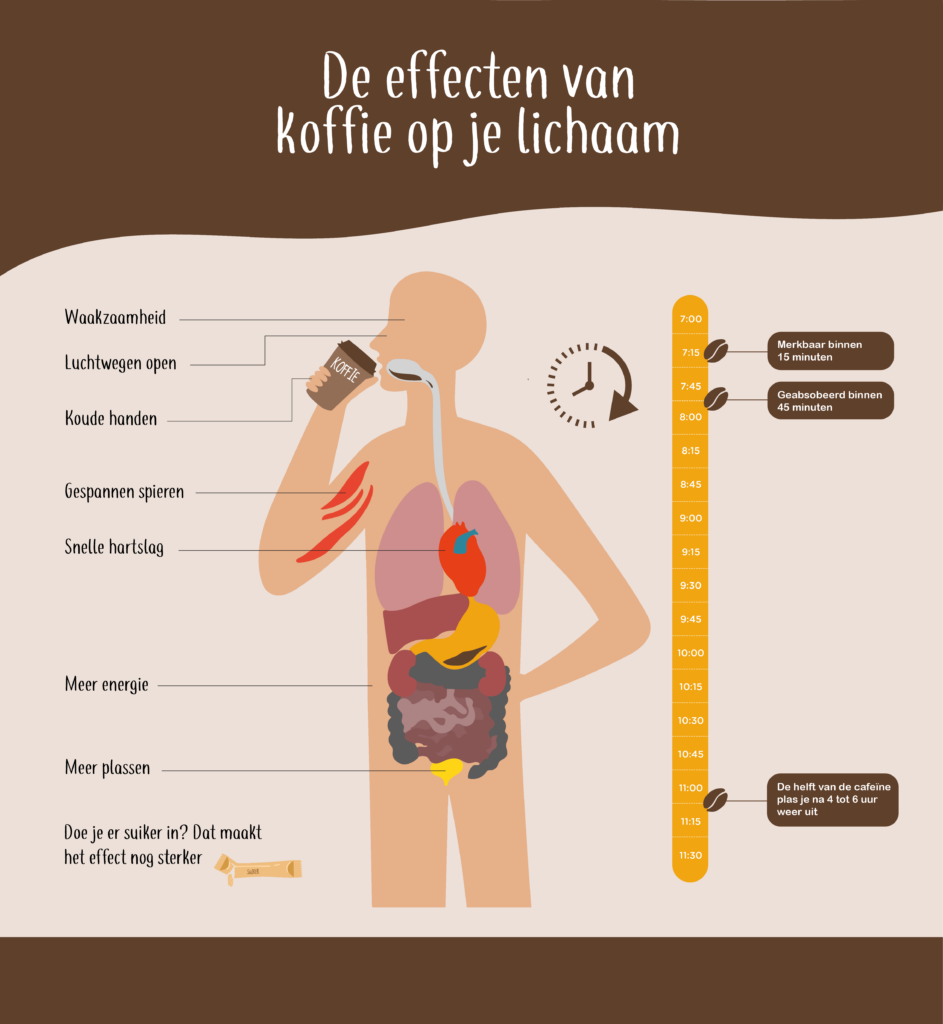 Infographic: De effecten van koffie op je lichaam